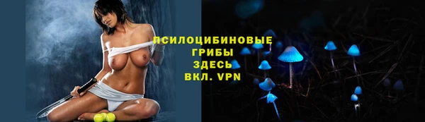 твердый Балахна